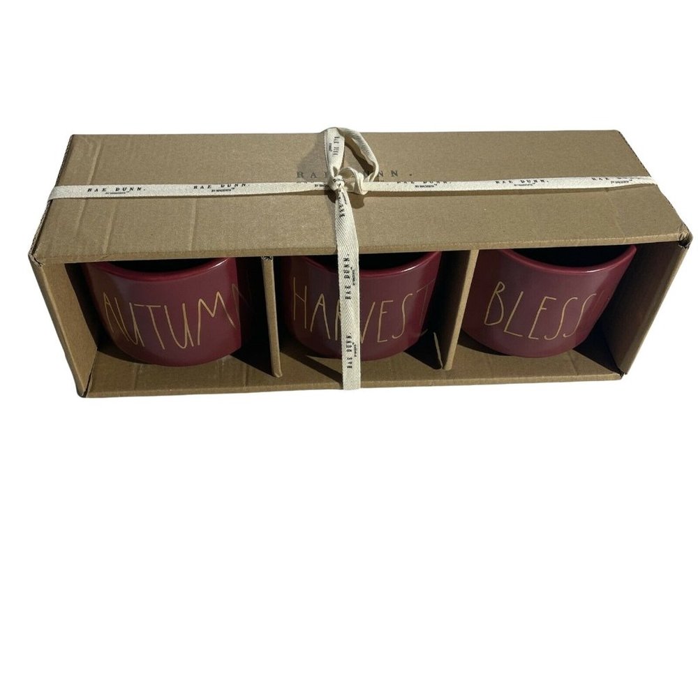 Rae Dunn Burgundy autumn, harvest, blessed mugs.